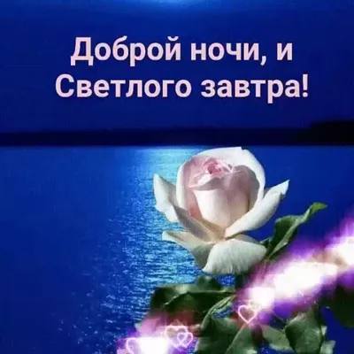 Открытки \"Доброго вечера и спокойной ночи!\" (150 шт.)