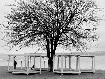 Черно-белое фото - скучно или с глубоким смыслом? | Особенный фотограф -  Ростов | Дзен