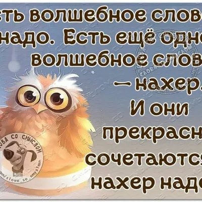 Прикольные картинки \"Доброе утро\" 👍 😄 (304 шт.) | Юмор о настроении,  Надписи, Веселые открытки