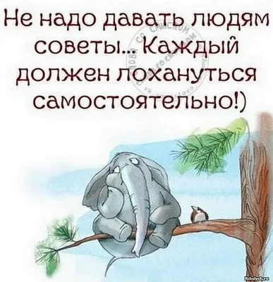 слушай, бог, а в чем смысл жизни? слышал когда-нибудь про посади дерево,  вырасти сына и построй до / смысл жизни :: бог :: сделал сам (нарисовал  сам, сфоткал сам, написал сам, придумал