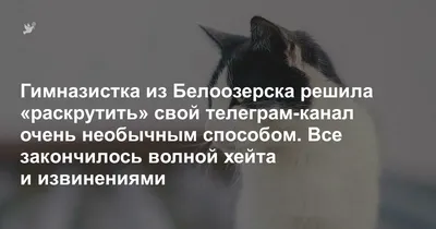 Россияне запустили флешмоб с извинениями, чтобы их детям открыли новую  школу — Секрет фирмы