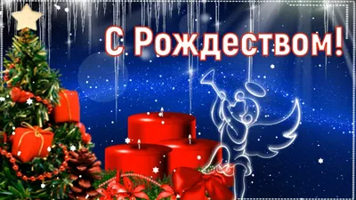 С Католическим Рождеством! Поздравляю #рождество #католическоерождеств... |  TikTok