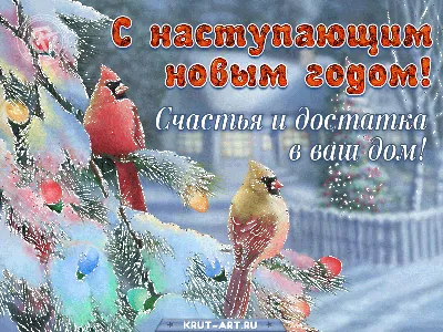 С наступающим новым годом!