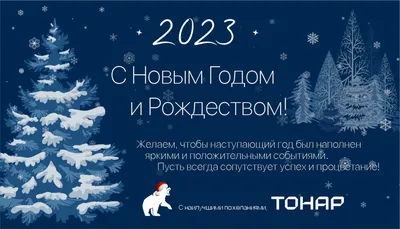 С наступающим Новым 2021 годом и Рождеством Христовым! | Уполномоченный по  правам человека в Хабаровском крае