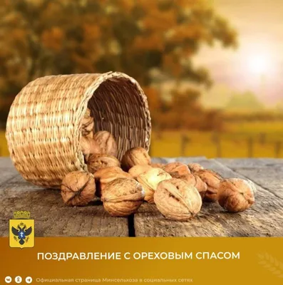 С ХЛЕБНЫМ ОРЕХОВЫМ СПАСОМ #МИРА ДОБРА ЗДОРОВЬЯ И БЛАГОПОЛУЧИЯ #🙏🙏🙏... |  TikTok