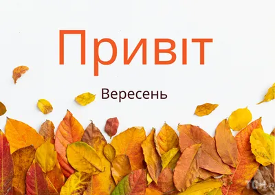 С первым днем осени — открытки, стихи, картинки на 1 сентября — какой  сегодня праздник / NV