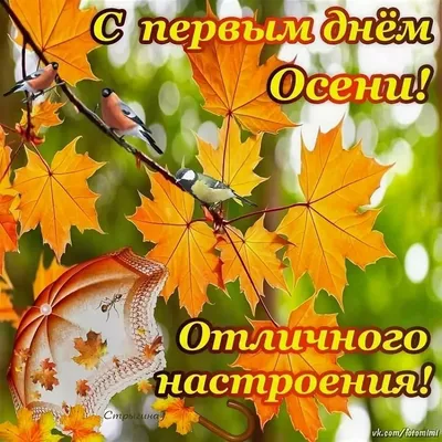 Открытки с первым днем осени с первым днем осени...