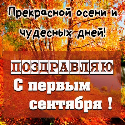 С днем знаний и с первым днем осени, Дорогие наши!🍂🍁🌾 ⠀ Сегодня  последний день, когда вы можете приобрести абонемент \"Школьный\" и… |  Instagram