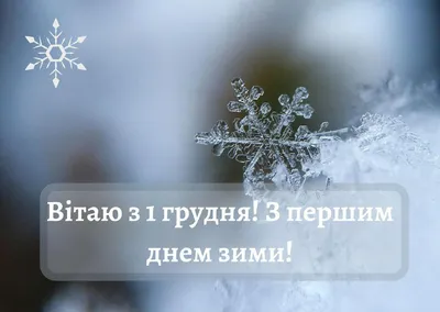 С первым днем зимы!!! Доброе утро!#1декабря#первыйденьзимы#спервымднем... |  TikTok