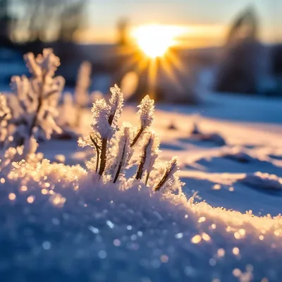 С первым днём зимы! ❄🎄 Пусть даже в холодный, зимний день на душе будет  тепло, а на лицах сияют морозные улыбки!… | Christmas bulbs, Christmas  mood, Holiday decor