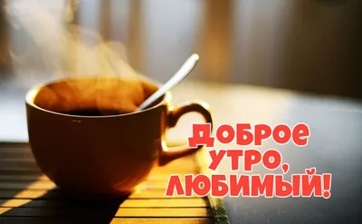 С добрым утром!#видеооткрытка #открыткасдобрымутром#открытка #рекоменд... |  TikTok