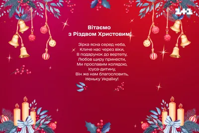 Католическое рождество 2022: поздравления в стихах, прозе и картинках |  ВЕСТИ