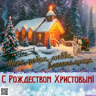 Наместник и братия Сретенского монастыря поздравляют прихожан с Рождеством  Христовым / Православие.Ru