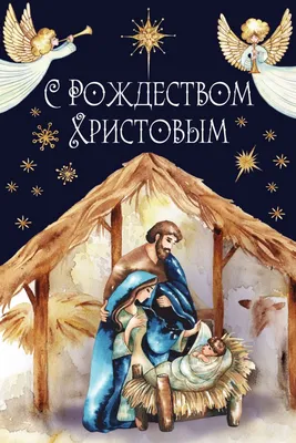 Рождество Христово 2021 — поздравления, открытки и картинки с праздником 25  декабря - Телеграф