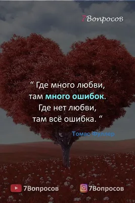 Красивые слова и цитаты о любви и отношениях, идеи, как признаться в  чувствах