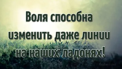 50 мотивирующих и вдохновляющих цитат на каждый день - Чемпионат