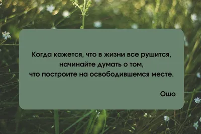 120 цитат про жизнь, которые помогут вдохновиться и задуматься