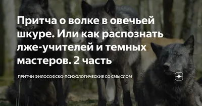 Цитаты про одинокого волка 🐺со смыслом, смешные