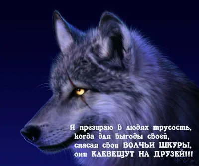 Легче простить врагу, чем другу. | Мысли, Слова со смыслом, Мудрость