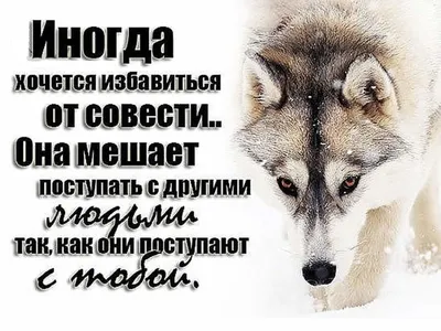 Статусы со смыслом - 👉🏻@citaty_hayluiz Оцените пост с 1 до 10. Друзья у  меня есть мечта собрать 100К подписчиков (адекватных людей)😇. Если не  трудно подписывайтесь. . . . . . . . . . #