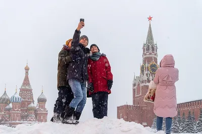 Фото кошек зимой. ТОП фото 43 шт. | Домашние животные - самое важное | Дзен