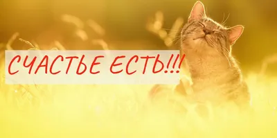 Счастье есть! - 14 Февраля 2022 - Якутск Вечерний