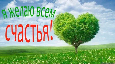 Антуриум (цветок «Мужское счастье»): уход в домашних условиях, пересадка и  фото растений