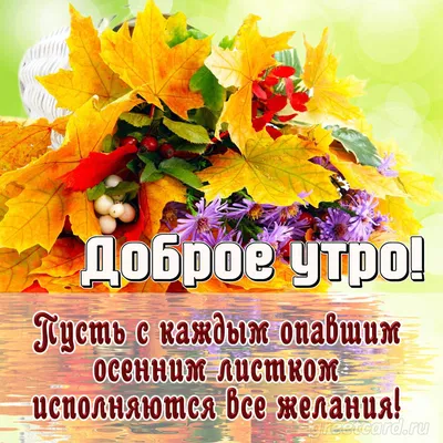 🌞 С добрым осенним утром! 🍁 | Поздравления, пожелания, открытки с Новым  годом! | ВКонтакте