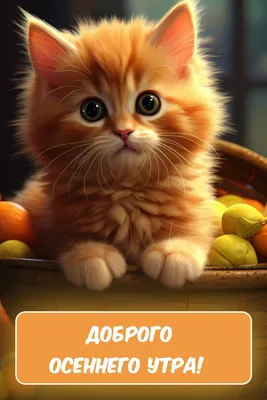 Скачать С добрым осенним утром APK для Android