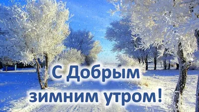 Зимние открытки \"Доброго утра!\" (236 шт.)