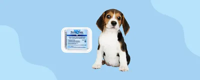 8in1 Excel Multi Vitamin Puppy Эксель Мультивитамины для щенков (100таб)  (108634) - Группа компаний Капитал ПРОК