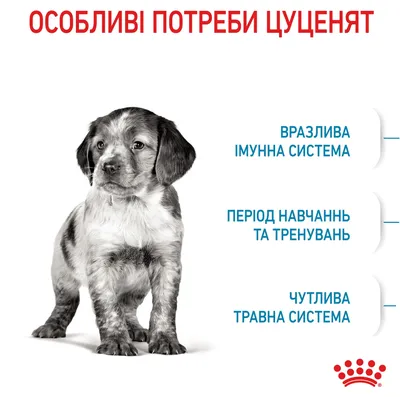 Сухой корм, Purina Pro Plan, для щенков мелких и карликовых пород, с  курицей и рисом купить с доставкой в интернет-магазине зоогастроном.ру