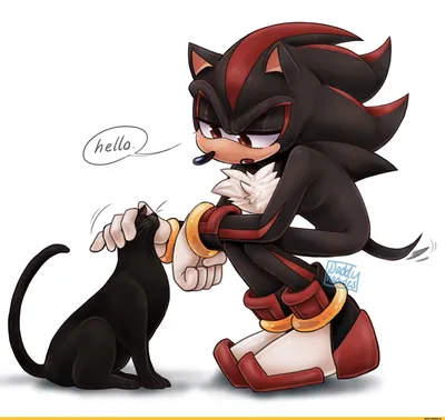 Shadow the hedgehog (Ёж Шедоу, Еж Шедоу) :: StH Персонажи :: Sonic (соник,  Sonic the hedgehog, ) :: daddychaarles :: фэндомы / картинки, гифки,  прикольные комиксы, интересные статьи по теме.