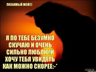 Чувственное признание в любви - Я хочу тебя! Эти слова должна услышать  каждая женщина. Стихи о любви - YouTube