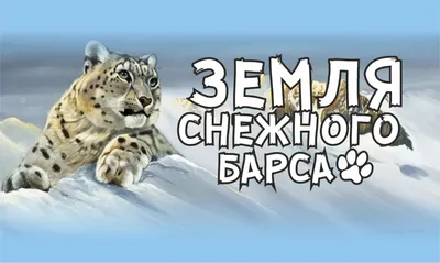 23 октября – Международный день снежного барса