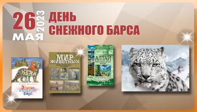 Измождённого снежного барса нашли в степи в Алматинской области