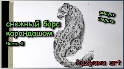 В защиту снежного барса. Признание в любви | 14.11.2023 | Новости  Горно-Алтайска - БезФормата