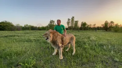 Экспедиция на полуостров Пьягина и Ямские острова — Открытия Охотского моря