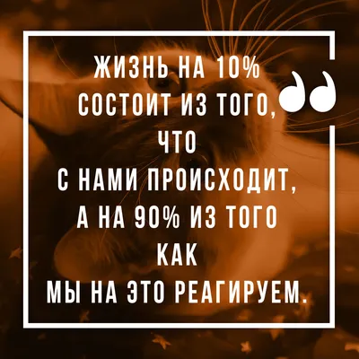 Ислам и семья on X: \"#жизнь #смерть #потери #радость #мусульмане #смысл  #Аллах, #дуа #здоровье #любовь #семья #иман #вера #молитва #исламисемья  https://t.co/OKLFUozs5B\" / X