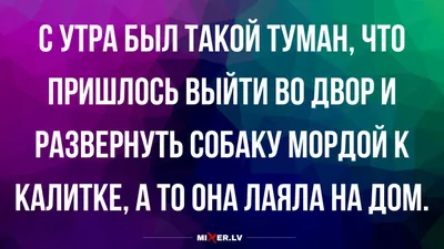 Отзыв о Книга \"Крыша ехала домой\" - Юнна Мориц | Знакомо, смешно и со  смыслом