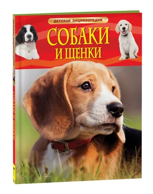 Купить Антигельминтик для собак и щенков ELANCO Мильбемакс (0,5-5кг), 2  таблетки в Бетховен