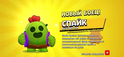 Мягкая игрушка кактус Спайк из Brawl Stars, Бравл Старс, 23 см, 42 см  купить по цене 499 ₽ в интернет-магазине KazanExpress