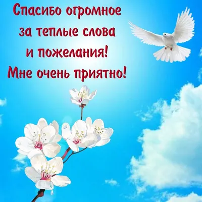 Мама, спасибо большое за передачу». О детском плаче, который вы непременно  услышите, если прислушаетесь. Или прочитаете это письмо 14-летнего  анархиста маме из СИЗО — Новая газета