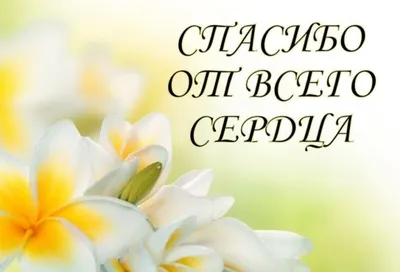 Открытка с именем Света Большое спасибо. Открытки на каждый день с именами  и пожеланиями.