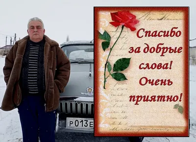 Спасибо за поздравления и пожелания, в прозе, в стихах, открытках. Спасибо  картинки гиф. Благодарность з… | Благодарные цитаты, Семейные цитаты,  Вдохновляющие фразы