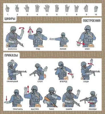 Спецназ мира: чьи нормативы жестче? » BigPicture.ru