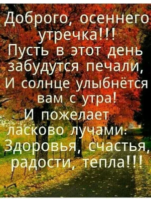 Статусы Со смыслом сделал(-а) публикацию в Instagram: “Поддержите нас  лайком ❤️❤️❤️ Подписывайтесь👇 @citativk @citativk @citativk #citativ… |  Мысли, Лето, Открытки