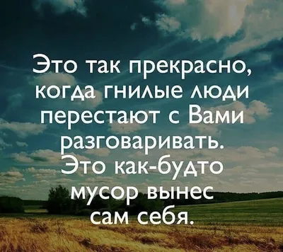 30 мудрых цитат о жизни, людях со смыслом Любимые цитаты на каждый день |  Глоток Мотивации | Дзен