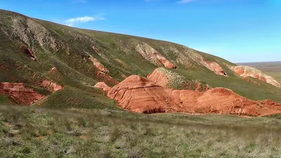 Картинки степь лето (60 фото) » Картинки и статусы про окружающий мир вокруг