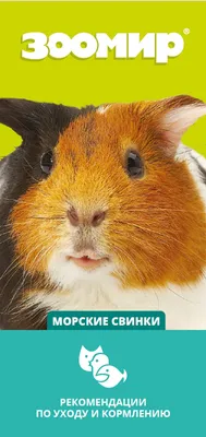 Little One Корм для морских свинок